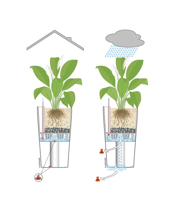 LECHUZA® QUADRO LS, All-in-One-Set 6 LECHUZA® QUADRO LS, All-in-One-Set – Bild 4