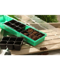 Dehner Zimmergewächshaus Frans, 54 X 15 X 12 Cm 7 Dehner Zimmergewächshaus Frans, 54 X 15 X 12 Cm -Elho Aussenbereich Geschaft 207456 BildM 001 RombergZimmergewaechshausFransFensterbGewH54X15x12