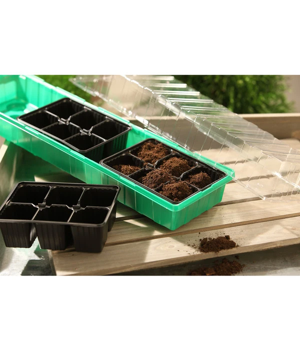 Dehner Zimmergewächshaus Frans, 54 X 15 X 12 Cm 4 Dehner Zimmergewächshaus Frans, 54 X 15 X 12 Cm – Bild 3