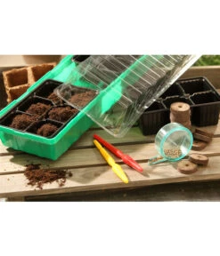 Dehner Zimmergewächshaus Frans, 54 X 15 X 12 Cm 8 Dehner Zimmergewächshaus Frans, 54 X 15 X 12 Cm -Elho Aussenbereich Geschaft 207456 BildM 002 RombergZimmergewaechshausFransFensterbGewH54X15x12