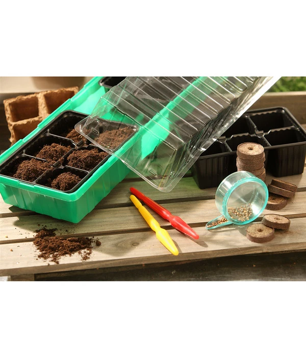 Dehner Zimmergewächshaus Frans, 54 X 15 X 12 Cm 5 Dehner Zimmergewächshaus Frans, 54 X 15 X 12 Cm – Bild 4