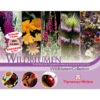 Thompson & Morgan Samen 'Wildblumen-Collection' -Elho Aussenbereich Geschaft 2531705 WE FS 001 ThompsonMorganWildblumenCollection