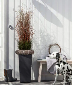 Dehner Kunststoff-Topf Elise, Konisch, Glänzend, Inkl. Bewässerungssystem -Elho Aussenbereich Geschaft 2539518 WE MO 003 KunststofftopfEliseAnthrazit