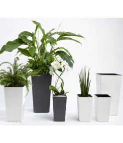 Dehner Kunststoff-Topf Elise, Konisch, Glänzend, Inkl. Bewässerungssystem -Elho Aussenbereich Geschaft 2540136 MA FS 007 DehnerKunststofftopfElisemitSelbstbewaesserungsSystemca47x25x25cmanthrazit