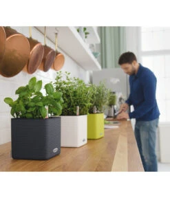 LECHUZA® CUBE Color, All-in-One Set -Elho Aussenbereich Geschaft 2843480 2843464 2843530 WE MO 001 CubeColor14AnthazitWeissLimettengruen