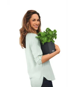 LECHUZA® CUBE Color, All-in-One Set -Elho Aussenbereich Geschaft 2843480 WE MO 002 CubeColor14GrauLechuza