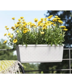 Dehner Kunststoff-Flechtkasten Dallas, Rechteckig -Elho Aussenbereich Geschaft 2889723 WE FS 002 CasaMash weiss