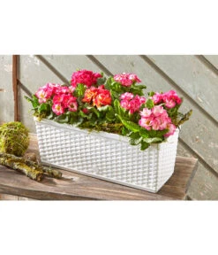 Dehner Kunststoff-Flechtkasten Dallas, Rechteckig -Elho Aussenbereich Geschaft 2889822 WE MO 002 DehnerKunststoffFlechtkastenweissBlumentopf