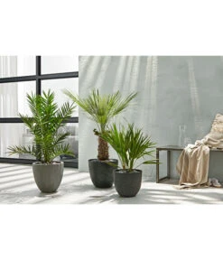 Artstone Kunststoff-Topf Bola -Elho Aussenbereich Geschaft 3158847 3158870 3158888 WE MO 003 PolystoneTopfinRiffeloptikrundsand