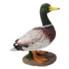 Dehner Polyresin-Ente 2 Dehner Polyresin-Ente -Elho Aussenbereich Geschaft 3254794 WE FS 002 DehnerPolyresinEnte