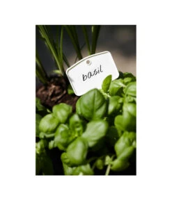 Elho Pflanz-Stift, 5 Stück -Elho Aussenbereich Geschaft 3266806 MO FS 001 PflanzstiftMweissElhoEtikett