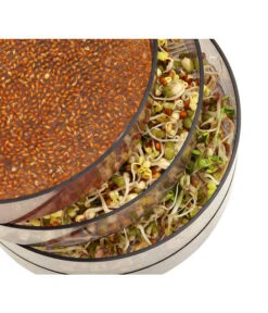 Dehner Sprossenhaus, 4 Schalen -Elho Aussenbereich Geschaft 3677101 WE MO 002 DehnerSprossenhausKeimsprossen