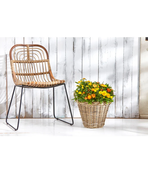 Van Der Leeden Rattan-Korb Mit Henkeln, Rund, Grau-braun 5 Van Der Leeden Rattan-Korb Mit Henkeln, Rund, Grau-braun – Bild 3