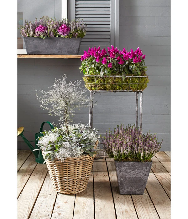 Van Der Leeden Rattan-Korb Mit Henkeln, Rund, Grau-braun 12 Van Der Leeden Rattan-Korb Mit Henkeln, Rund, Grau-braun – Bild 10