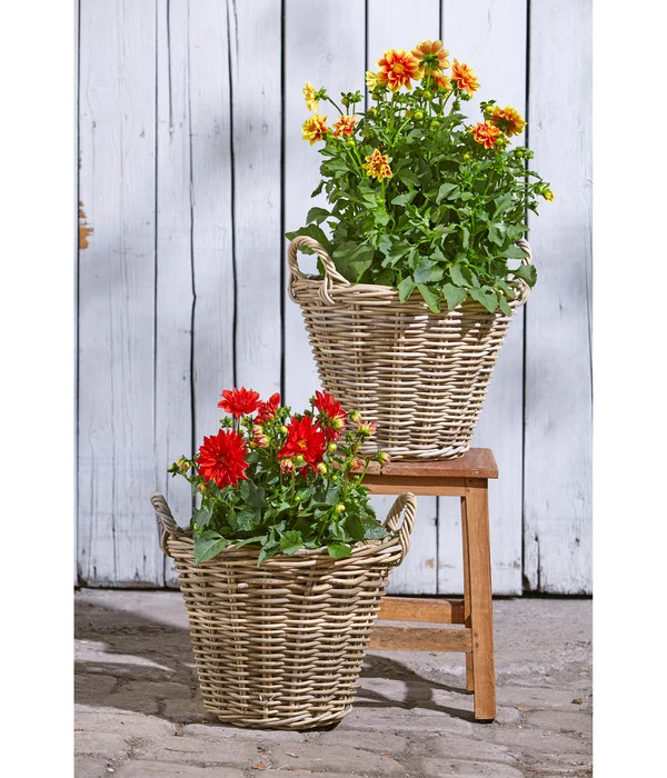 Van Der Leeden Rattan-Korb Mit Henkeln, Rund, Grau-braun 11 Van Der Leeden Rattan-Korb Mit Henkeln, Rund, Grau-braun – Bild 9