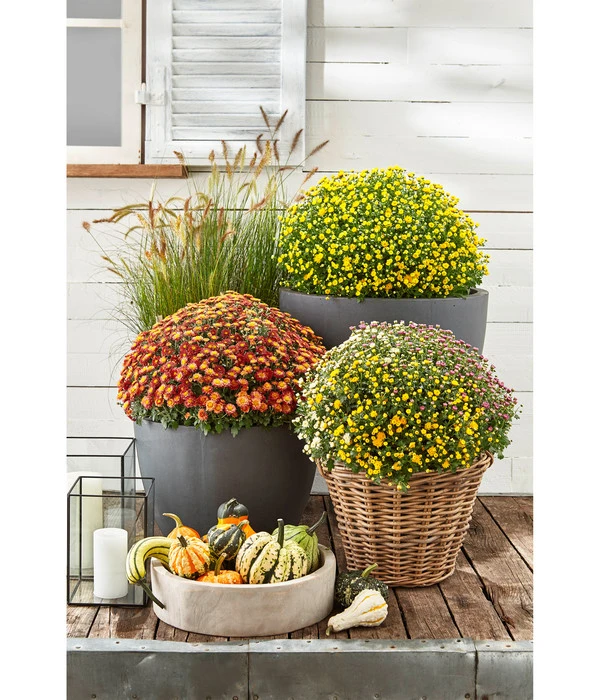 Van Der Leeden Rattan-Korb Mit Henkeln, Rund, Grau-braun 13 Van Der Leeden Rattan-Korb Mit Henkeln, Rund, Grau-braun – Bild 11