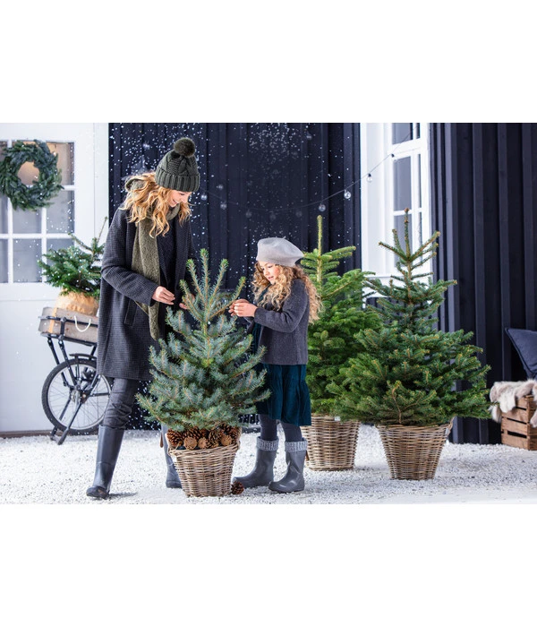 Van Der Leeden Rattan-Korb Mit Henkeln, Rund, Grau-braun 4 Van Der Leeden Rattan-Korb Mit Henkeln, Rund, Grau-braun – Bild 2