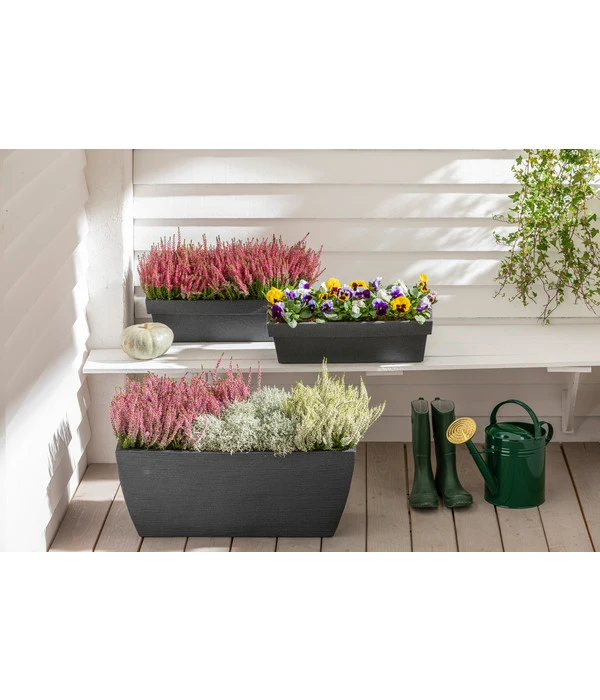 Kunststoff-Pflanzkasten Rille, Ca. B80/H34/T40 Cm, Anthrazit 4 Kunststoff-Pflanzkasten Rille, Ca. B80/H34/T40 Cm, Anthrazit – Bild 2