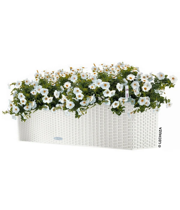 LECHUZA® Kunststoff-Kasten Balconera Cottage, Rechteckig 3 LECHUZA® Kunststoff-Kasten Balconera Cottage, Rechteckig – Bild 2