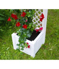 KHW Kunststoff-Pflanzkasten Mit Spalier, 43 X 43 X 140 Cm -Elho Aussenbereich Geschaft 3913688 WE DE 004 KastenSpalier43weiss