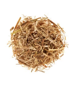 Pilzmännchen Bio Pilzzuchtset Austernpilz 6 Pilzmännchen Bio Pilzzuchtset Austernpilz -Elho Aussenbereich Geschaft 3940285 BildD 001 PilzmaennchenBioHomePilzzuchtsetAusternpilzPilzbrutAusternpilzSet