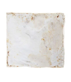 Pilzmännchen Bio Pilzzuchtset Austernpilz 7 Pilzmännchen Bio Pilzzuchtset Austernpilz -Elho Aussenbereich Geschaft 3940285 BildD 002 PilzmaennchenBioHomePilzzuchtsetAusternpilzPilzbrutAusternpilzSet