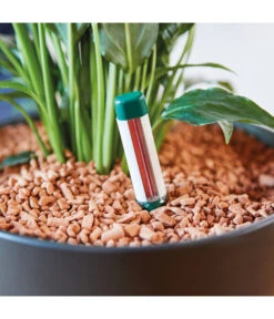 Seramis Gießanzeiger -Elho Aussenbereich Geschaft 394684 WE MO 003 SeramisGiessanzeiger 394692