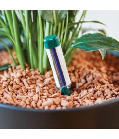 Seramis Gießanzeiger -Elho Aussenbereich Geschaft 394684 WE MO 004 SeramisGiessanzeiger 394692