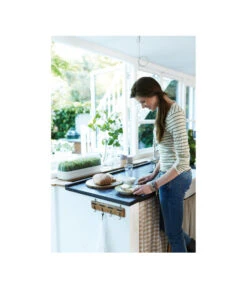 Elho Anzuchthaube L -Elho Aussenbereich Geschaft 4026704 WE MO 001 AnzuchthausLTransparentElho