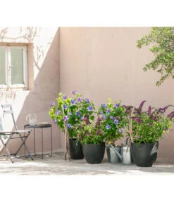 Artstone Kunststoff-Topf Bola -Elho Aussenbereich Geschaft 4086088 4086096 4086104 4086112 WE MO 006 KunststoffTopfBolarundschwarz