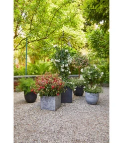 Artstone Kunststoff-Topf Bola -Elho Aussenbereich Geschaft 4086096 4086088 4086104 4086112 WE MO 002 KunststoffTopfBolaschwarz