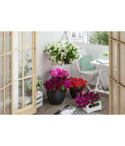 Artstone Kunststoff-Topf Bola -Elho Aussenbereich Geschaft 4086096 4086088 4086104 4086112 WE MO 005 ArtstoneKunststoffTopfBolaschwarz