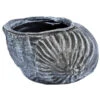 Roto Kunststoff-Pflanztopf Muschel, Grau, Ca. B40/H25,5/T30 Cm 2 Roto Kunststoff-Pflanztopf Muschel, Grau, Ca. B40/H25,5/T30 Cm -Elho Aussenbereich Geschaft 4145843 WE FS 001 RotoTopfMuschel