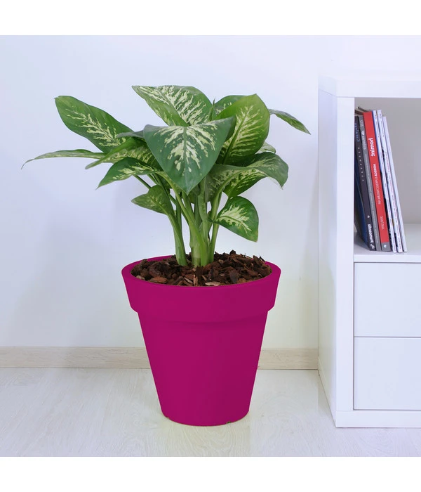 Farmet Kunststoff-Pflanzkübel Pegasus 4 Farmet Kunststoff-Pflanzkübel Pegasus – Bild 2