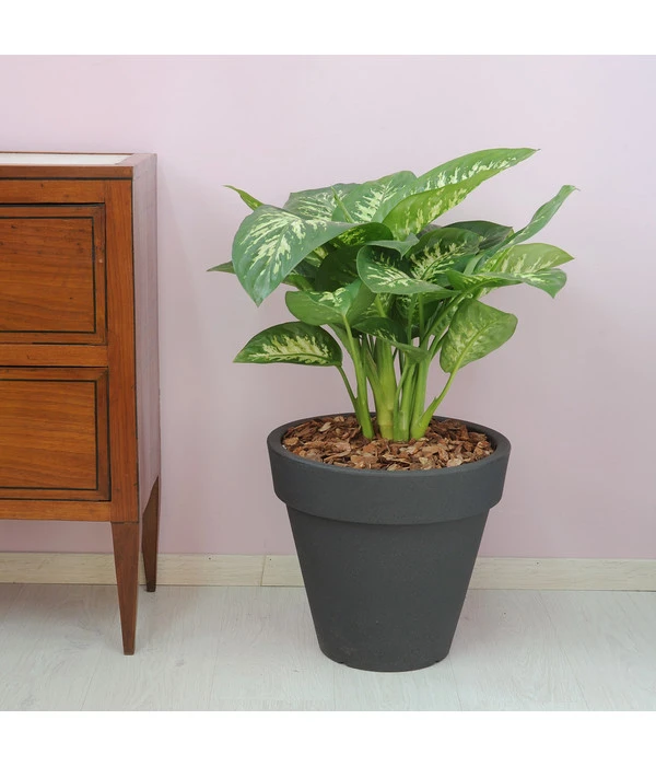 Farmet Kunststoff-Topf-Set Pegasus, Konisch, Anthrazit, 2-teilig 4 Farmet Kunststoff-Topf-Set Pegasus, Konisch, Anthrazit, 2-teilig – Bild 2