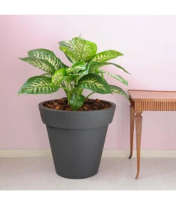 Farmet Kunststoff-Topf-Set Pegasus, Konisch, Anthrazit, 2-teilig 10 Farmet Kunststoff-Topf-Set Pegasus, Konisch, Anthrazit, 2-teilig -Elho Aussenbereich Geschaft 4185690 WE DE 002 PEGASUSKonischerPflanzkuebelDurchmesser50cm46cmhochDUNKELANTHRAZIT