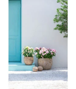 Dehner Terrakotta-Topf Imperia, Rund, Antik-terrakotta -Elho Aussenbereich Geschaft 4272639 4272670 WE MO 003 DehnerTerrakottaTopf