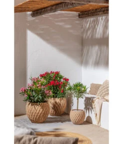 Dehner Terrakotta-Topf Imperia, Rund, Antik-terrakotta -Elho Aussenbereich Geschaft 4272639 4272670 WE MO 004 DehnerTerrakottaTopf