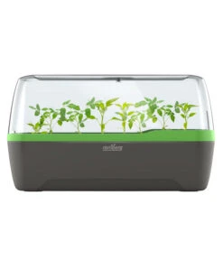 Romberg BoQube Gewächshaus -Elho Aussenbereich Geschaft 4299970 WE FS 005 RombergGewaechshausZimmergewaechshausAnzucht