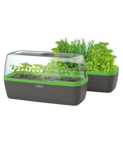 Romberg BoQube Gewächshaus -Elho Aussenbereich Geschaft 4299970 WE FS 006 BoQubeGewaechshausZimmergewaechshaus