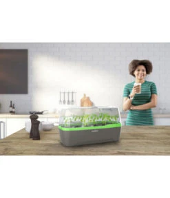 Romberg BoQube Gewächshaus -Elho Aussenbereich Geschaft 4299970 WE MO 001 RombergGewaechshausZimmergewaechshausAnzucht