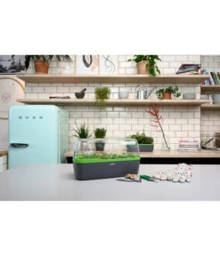 Romberg BoQube Gewächshaus -Elho Aussenbereich Geschaft 4299970 WE MO 002 BoQubeGewaechshausZimmergewaechshaus