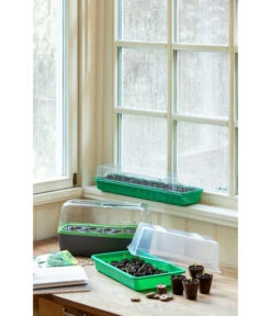 Romberg Zimmergewächshaus -Elho Aussenbereich Geschaft 4299970 WE MO 004 BoQubeZimmergewaechshaus