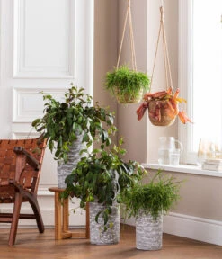 Dehner Seegras-Ampel Igmar 11 Dehner Seegras-Ampel Igmar -Elho Aussenbereich Geschaft 4484705 WE MO 001 AmpelvaseToni 4484713 6759393