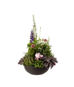 Vasar Kunststoff-Schale Aurora, Rund, Terrakotta -Elho Aussenbereich Geschaft 5187752 BildFS 001 KunststoffschaleAuroraBraunBepflanztHerbstGross