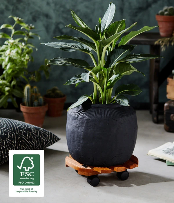 Wagner Pflanzroller Country, Ø 30 Cm 9 Wagner Pflanzroller Country, Ø 30 Cm – Bild 7