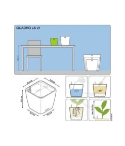 LECHUZA® QUADRO LS, All-in-One-Set 11 LECHUZA® QUADRO LS, All-in-One-Set -Elho Aussenbereich Geschaft 5390174 3175270 5473541 5390182 5390190 5390166 WE DE 001 QuadroPremium21