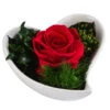 Dehner Herzschale Mit Longlife-Rose Lena, Ca. B12/H8 Cm 1 Dehner Herzschale Mit Longlife-Rose Lena, Ca. B12/H8 Cm -Elho Aussenbereich Geschaft 6380901 WE FS 004 LLHerzLenaROT