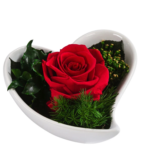 Dehner Herzschale Mit Longlife-Rose Lena, Ca. B12/H8 Cm 3 Dehner Herzschale Mit Longlife-Rose Lena, Ca. B12/H8 Cm