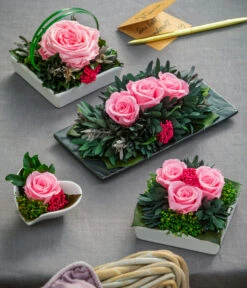 Dehner Arrangement Mit Longlife-Rose Cloe, Rosa, Ca. B19/H6/T10 Cm -Elho Aussenbereich Geschaft 6380927 6537641 6537716 6537708 WE MO 001 LonglifeArrangements